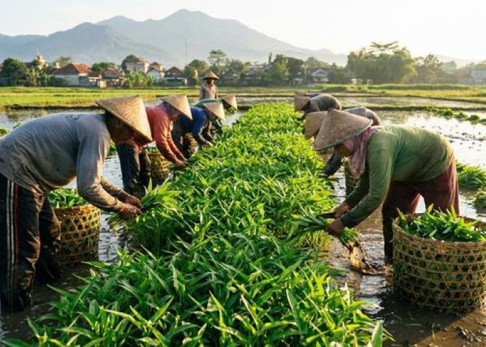 5 Jenis Budidaya Sayur Panen Tiap Bulan, Mudah Perawatan dan Laris di Pasaran