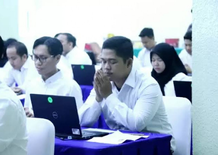 Tenaga Honorer Akan Terdiskualifikasi Meski Telah Dinyatakan Lolos Seleksi PPPK