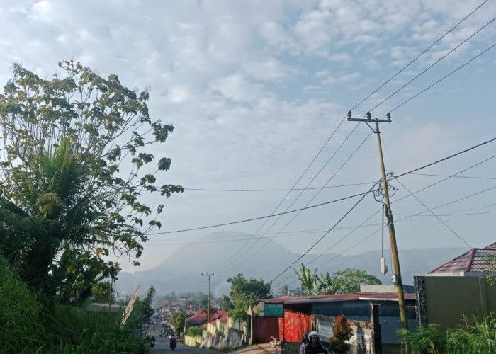 Bupati Kepahiang Targetkan LPJU Tengah Kota Menyala Tahun Ini