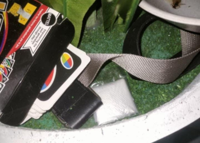 Heboh Dugaan Sabu di Toko Buah Kepahiang, Ternyata...