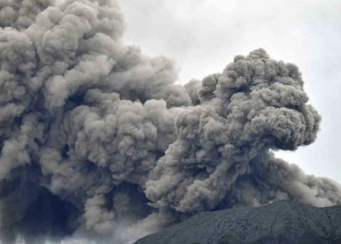 Heboh! Gunung Tangkuban Perahu Erupsi, Pengunjung Terpantai Bergegas Evakuasi Kendaraan