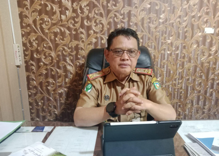 Temuan LHP BPK Mencapai Rp400 Juta, Dinas Kesehatan Warning Pihak Ketiga!