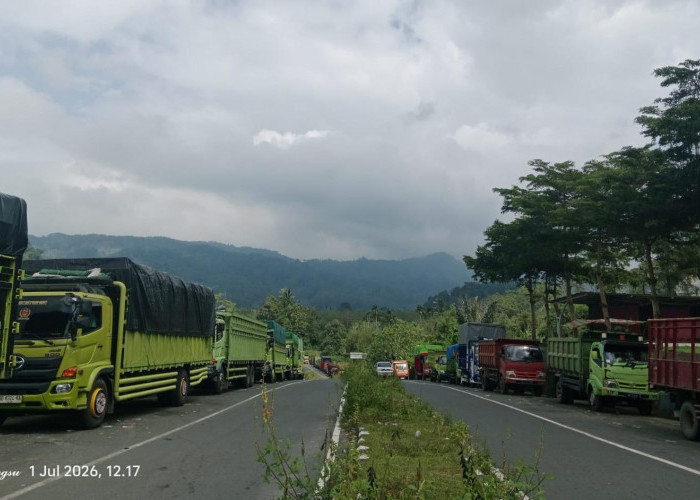 Antrean Truk Makan Badan Jalan Ring Road Kepahiang, Sopir Nginap Demi Solar Bersubsidi