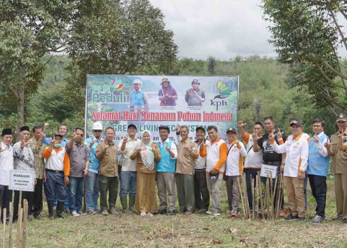 Turunkan Emisi Gas Rumah Kaca, PLN Peduli Hijaukan Kabupaten Rejang Lebong di Hari Menanam Pohon Indonesia