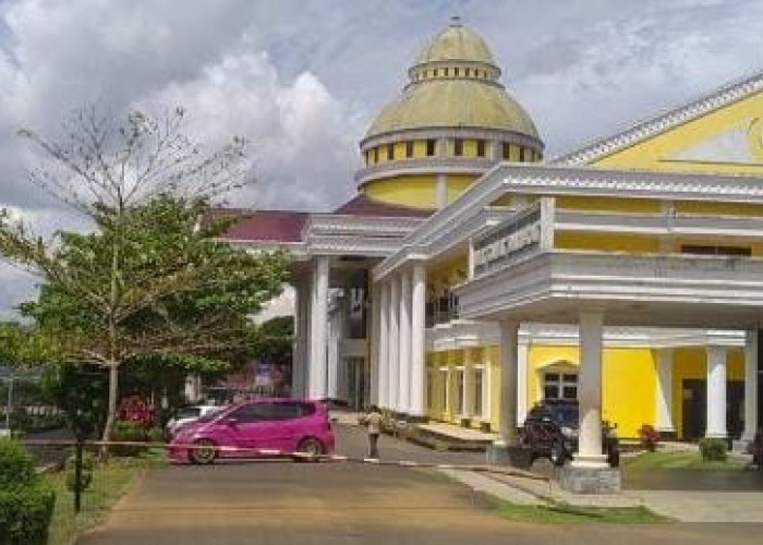 Meski Digaji Sukarela, RSUD Kepahiang Masih Pertahankan 20 TKS Kesehatan