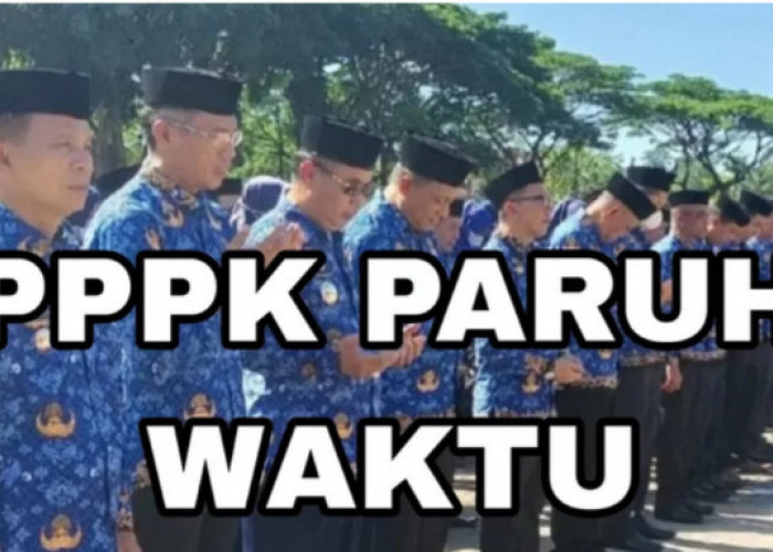 Jam Kerja PPPK Paruh Waktu Bukan Setengah Hari, Ini Ketentuan KemenPAN-RB