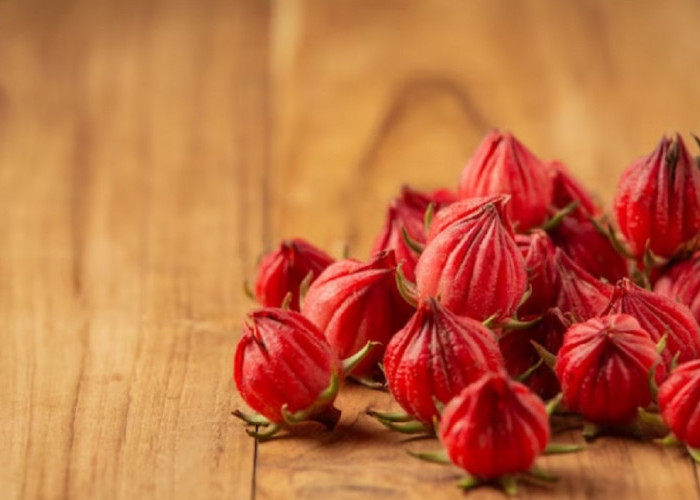 Manfaat Tumbuhan Rosella, Obat Herbal yang Berkhasiat Menurunkan Tekanan Darah dan Masih Banyak Lainnya