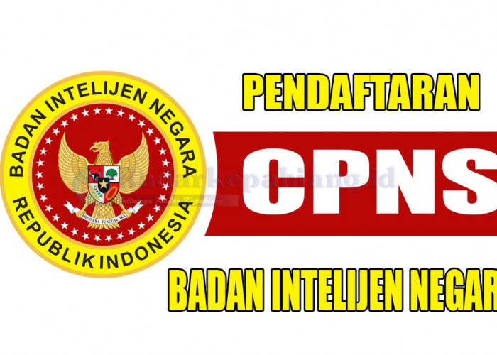 Selain Surat Lamaran, Simak Contoh dan Link Download Surat Pernyataan Syarat Pendaftaran CPNS BIN 2023
