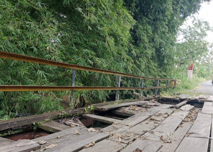 Bangun Jembatan Penghubung Sidodadi - Kampung Bogor, Pemkab Kepahiang Siap Anggarkan Rp 2 Miliar