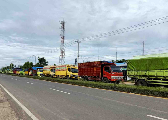 Pemprov Hentikan Sementara Angkutan Batu Bara ke Pulau Baai