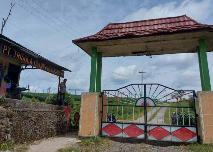 Lahan Eks HGU PT TUM Berbuntut Panjang, Bupati Zurdi Nata Gandeng KPK dan Komisi II DPR RI