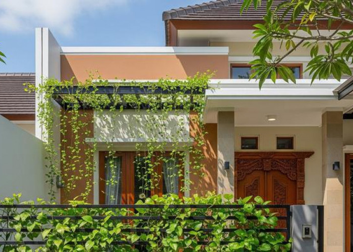 3 Tanaman Hias Daun Unik untuk Dekorasi Teras yang Mudah Dirawat