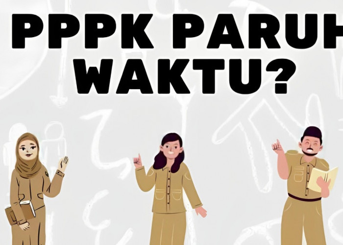 Wajib Tahu, Ini Besaran Gaji PPPK Paruh Waktu Lulusan SMA 2025