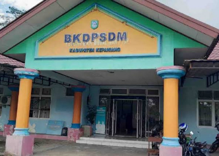 BKDPSDM Kepahiang Perjuangkan Nasib 197 Tenaga Honorer di Luar Database BKN