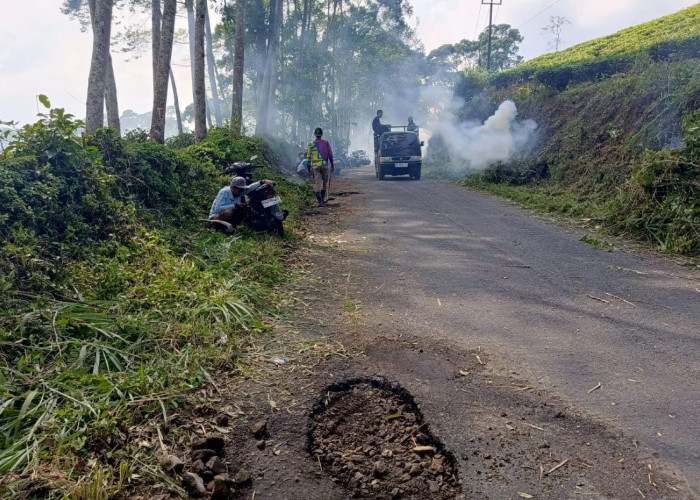 Tak Kunjung Diperbaiki, Warga Bogor Baru – Tangsi Duren Gotong Royong Tambal Jalan Provinsi Berlubang 7 KM