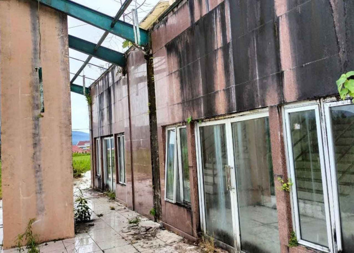 Usut Keterlibatan Pihak Lain, Penyidik Kejari Kepahiang Marathon Periksa Saksi-saksi Kasus Lahan GOR!