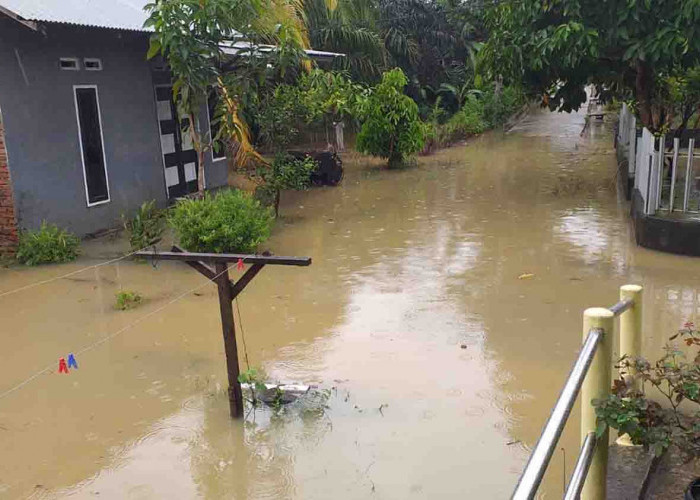 Kota Bengkulu Berstatus Tanggap Darurat Bencana 