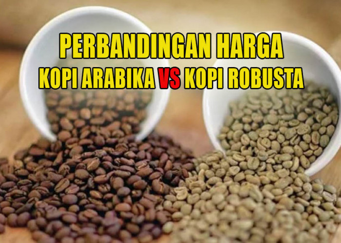 Ini Alasan Kenapa Harga Kopi Arabika Lebih Mahal Dibandingkan Harga Kopi Robusta