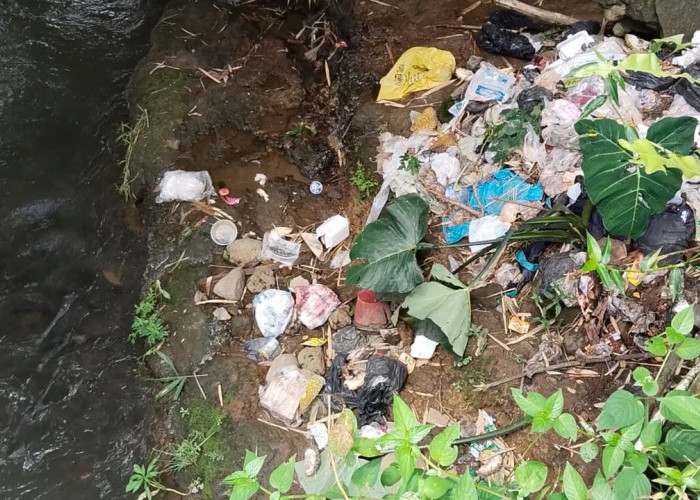 Buang Sampah Sembarangan, Siap-Siap Disanksi Pemkab Kepahiang!