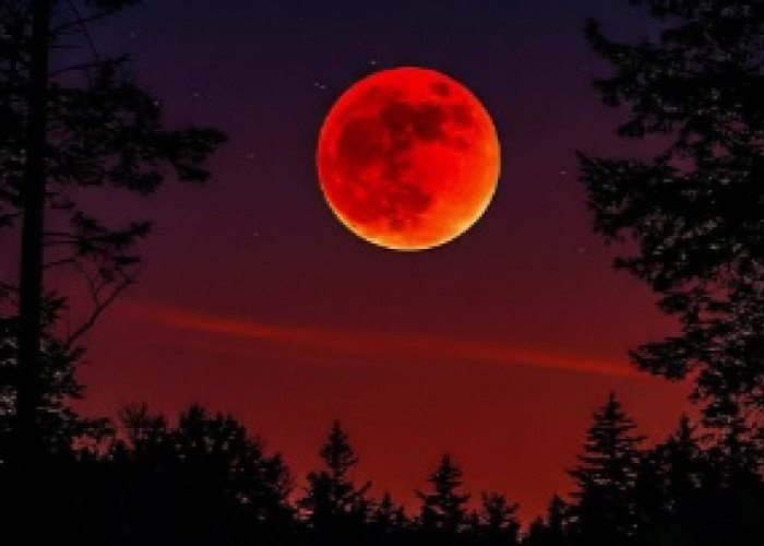 Blod Moon, Ternyata Ini Alasan Kenapa Bulan Berwarna Merah Saat Gerhana Bulan Total!