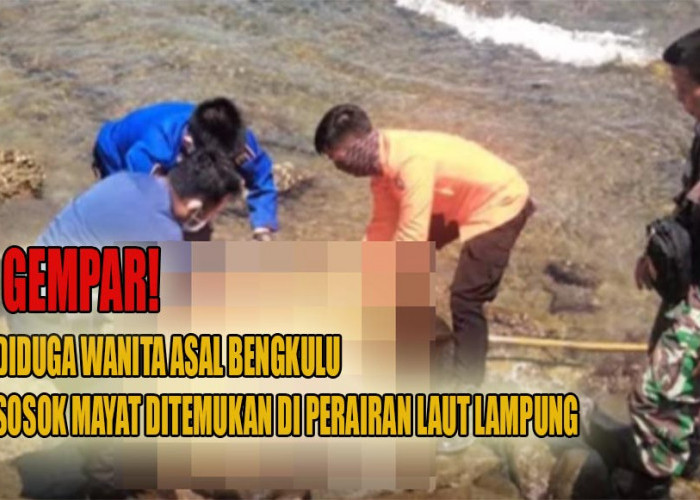 GEMPAR! Diduga Wanita Asal Bengkulu Ditemukan Tewas Mengapung di Perairan Laut Lampung