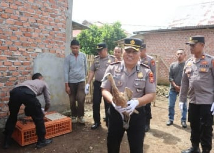 'Bebek Kamtibmas': Inovasi Polres Kepahiang Tekan Angka Kriminalitas Sekaligus Dongkrak Ekonomi Harian Warga