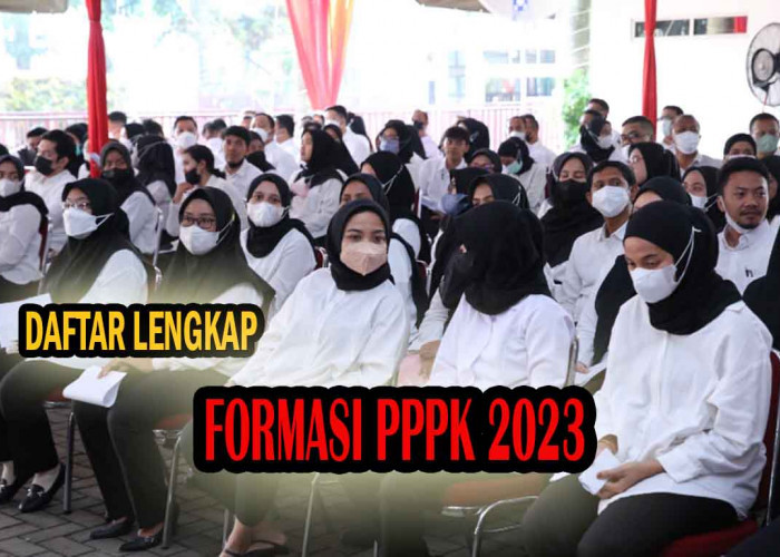Formasi Guru PPPK Melimpah, Ini Daftar Lengkap Formasi Guru PPPK, PPPK Tenaga Kesehatan dan PPPK Teknis 2023!