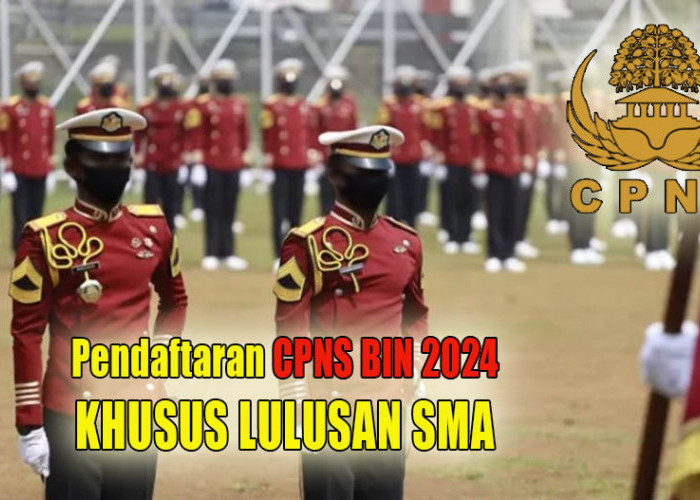 Lulusan SMA Bisa Daftar, Ini 21 Tata Tertib Dalam Seleksi CPNS BIN Tahun 2024 yang Wajib Diketahui Peserta