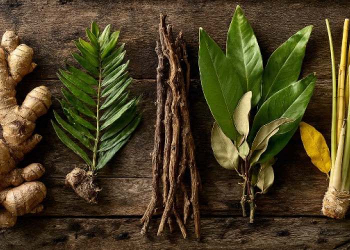 Jangan Anggap Sepele, 5 Herbal Ini Bisa Bantu Jaga Kesehatanmu