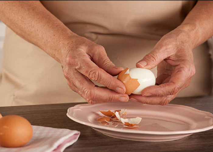 Telur Rebus, Pilihan Sehat Dengan Banyak Manfaat Untuk Kesehatan