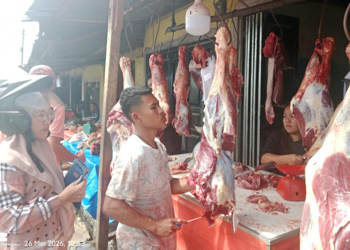Pemkab Kepahiang Klaim Harga Bapokting Stabil Jelang Idul Adha, Daging Sapi Rp150 ribu Perkilogram
