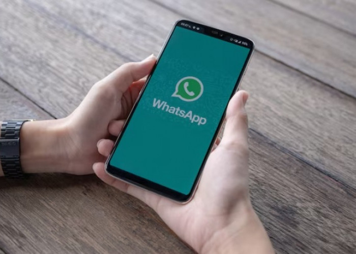 2 Nomor WhatsApp 1 Aplikasi, Simak Cara Menggunakan Fitur Baru WhatsApp Multiple Accounts!