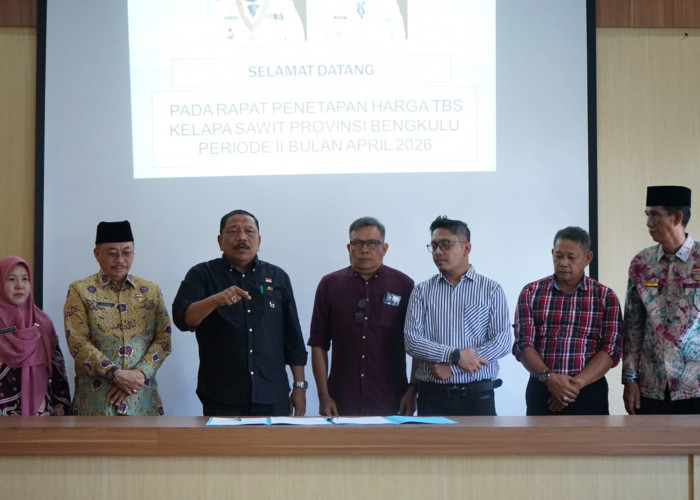 Kalah dari Riau, Harga Sawit Bengkulu Dipatok Rp3.463 per Kg