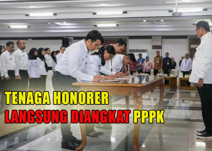 Sudah Ditetapkan Pemerintah, 2 Kategori Tenaga Honorer Ini Bisa Langsung Diangkat PPPK