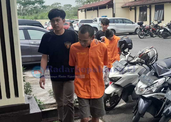 Usai Transaksi Narkoba, Warga Kampung Bogor Ditangkap Macan Juvi Polres Kepahiang Bersama 1 Paket Ganja!