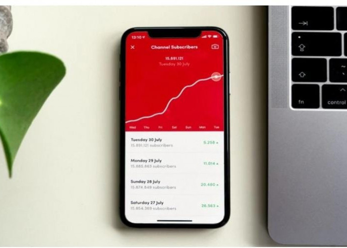 Mengenal ShortBox, Tren Aplikasi Penghasil Saldo DANA 