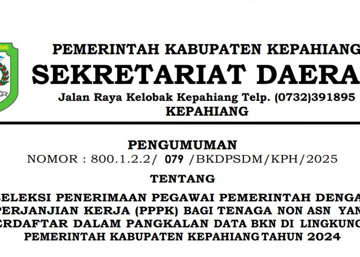 Buruan Daftar, Pendaftaran PPPK Khusus Tenaga Honorer Masuk Database BKN Dibuka Pemkab Kepahiang