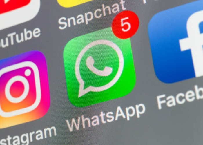 Gak Perlu Susah-Susah Japri! Ini Cara Mudah Menyimpan Status WhatsApp Untuk Pengguna Android dan iPhone