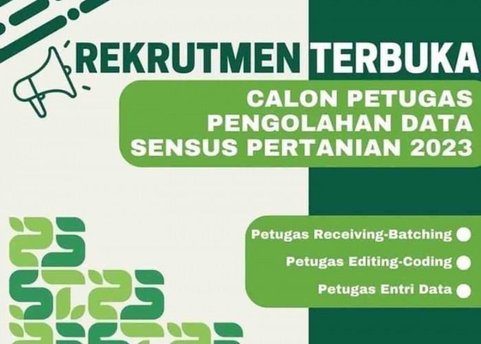 BPS Kepahiang Buka Rekrutmen Petugas Pengolahan Data Sensus Pertanian, Buruuuan Daftar...