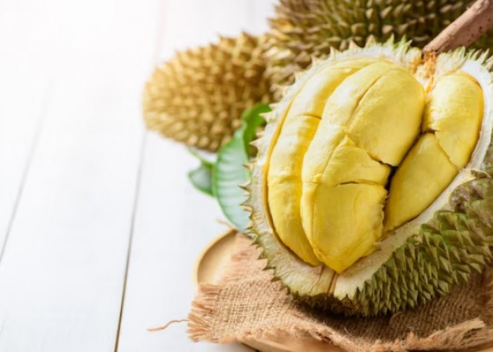 Musang King, Buah Durian Terenak Asal Malaysia yang Mendunia, Begini Kualitasnya!