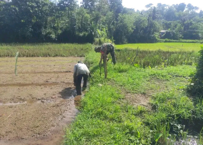 Raperda LP2B Disetujui, Bupati: Lebih Dari 2 Ribu Hektare Lahan Sawah di Kepahiang Perlu Perlindungan