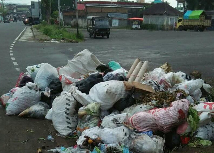 Buang Sampah Sembarangan, Masih Banyak Masyarakat Tak Patuhi Aturan