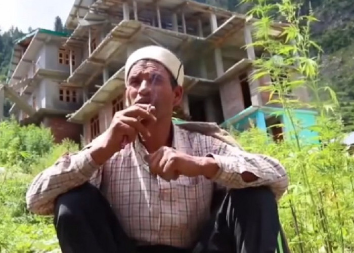 Mengenal Desa Malana, Surganya Ganja yang Berlokasi di Lereng Himalaya