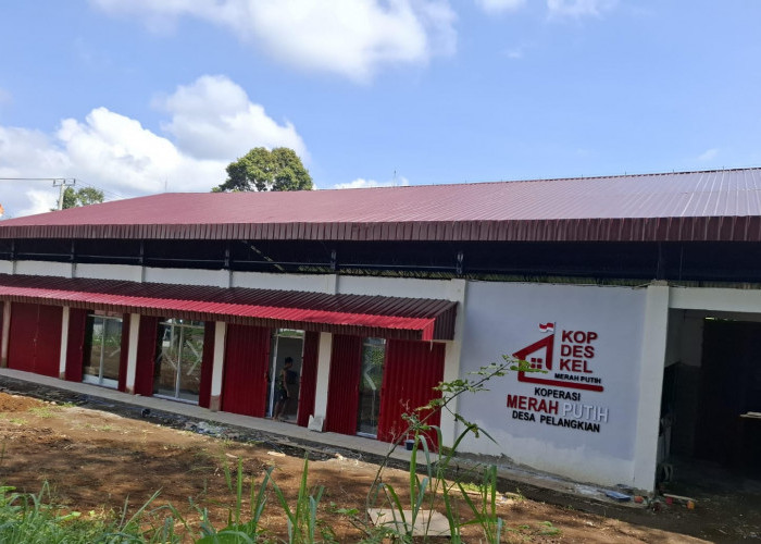33 Gerai KDMP di Kepahiang Masih Dalam Tahap Pembangunan, 54 Desa Belum Siap Lahan!