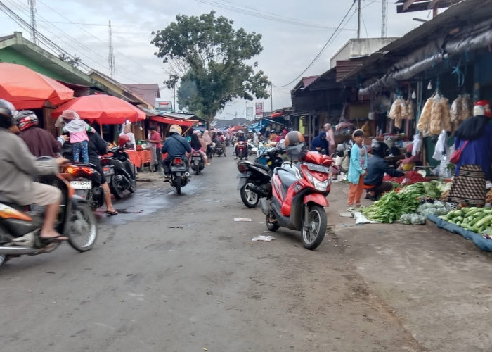 PAD Parkir Bocor, Penambahan Titik Parkir Kabupaten Kepahiang Terancam Gagal!