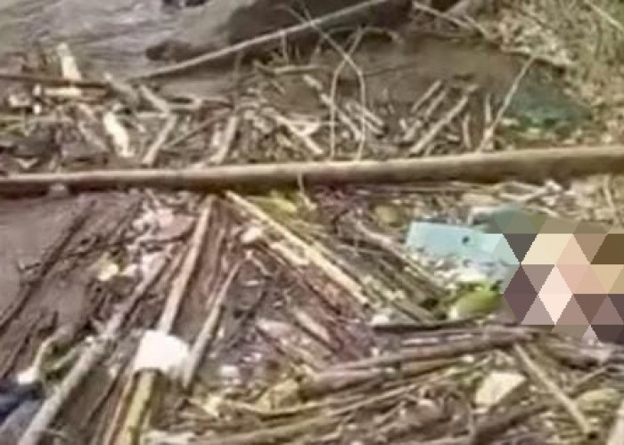 Mayat Perempuan Ditemukan Mengambang di Sungai Musi