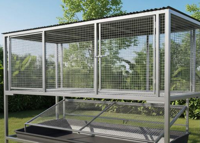 Kokoh dan Awet, 5 Jenis Rangka Kandang Ayam Tahan Panas