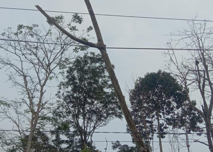 Ternyata Ini Penyebab 24 Jam Lampu Mati di Kecamatan Tebat Karai!
