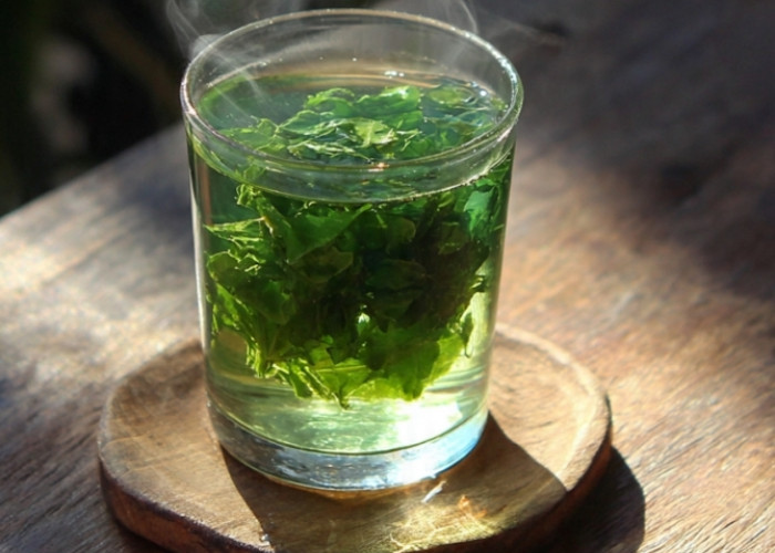 Resep Herbal untuk Mengatasi Keluhan Mulut 