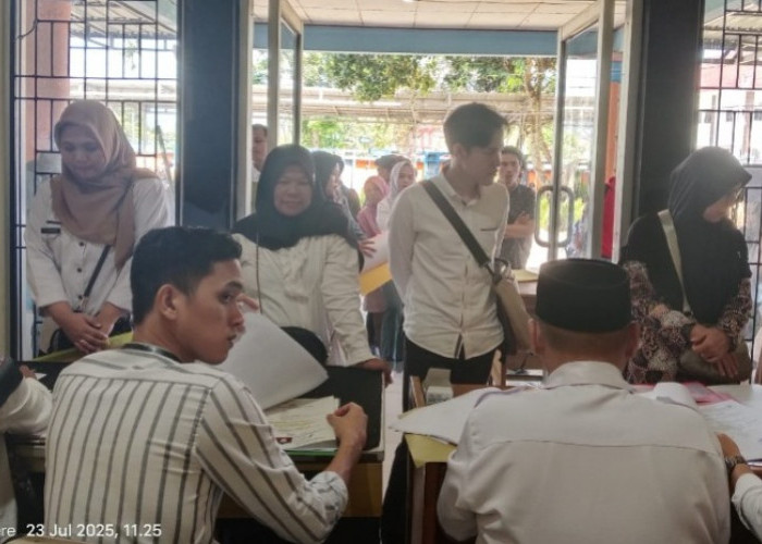 Antisipasi Server Down, Tenaga Honorer Diimbau Tidak Isi DRH PPPK Mendekati Batas Akhir